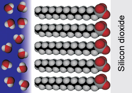 Gap between the ordered molecules of a hydrophobic layer and water. Credits:Max Planck Institute